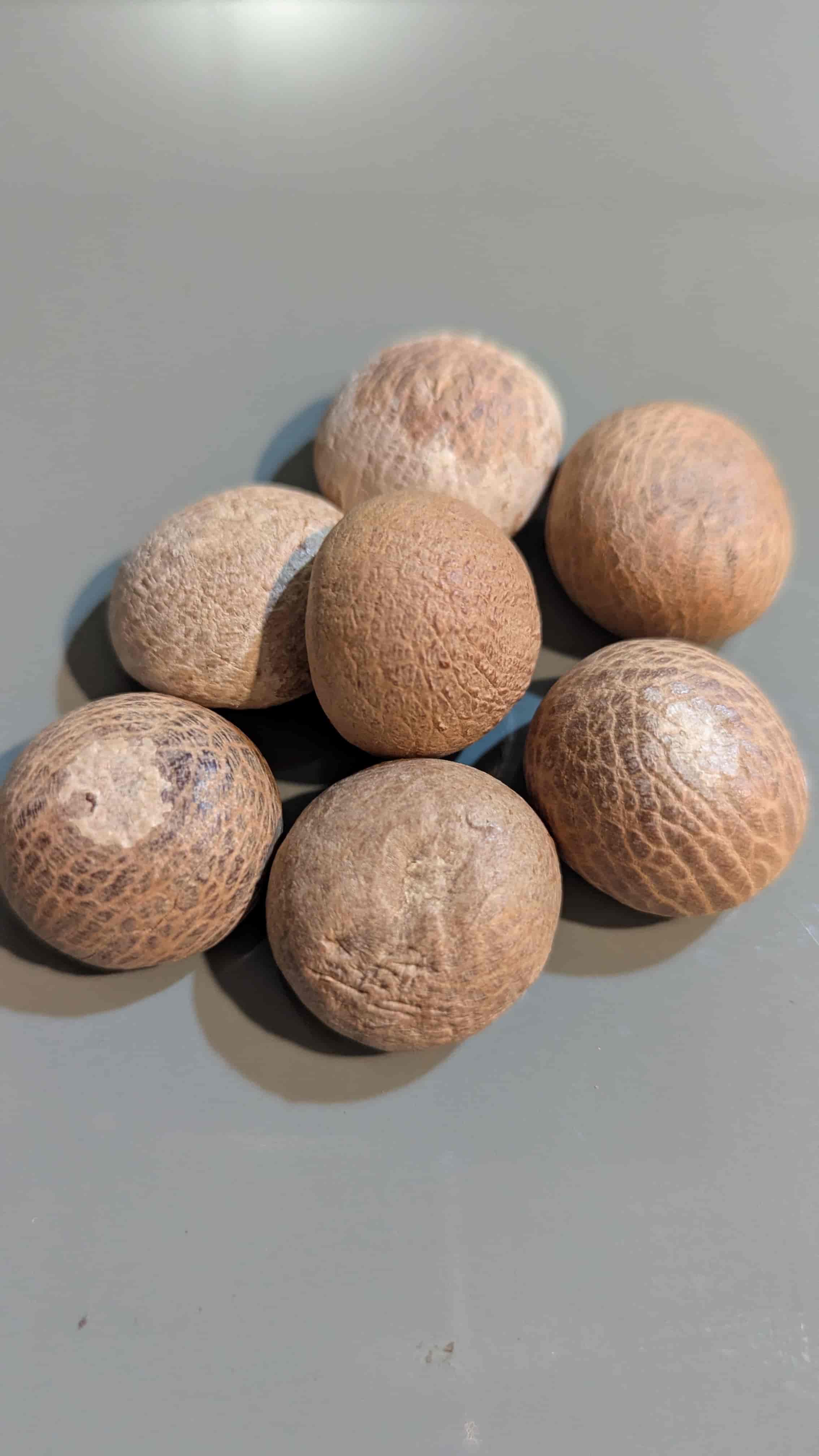 Sevardhan/સેવર્ધન  